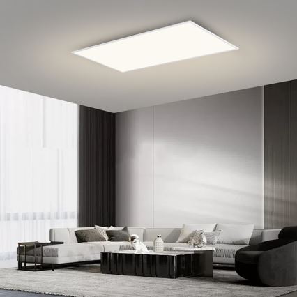 Brilagi - LED Deckenleuchte SLIMFRAME LED/80W/230V 120x60 cm 3000/4000/6000K weiß