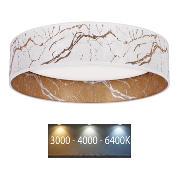 Brilagi - LED-Deckenleuchte VELVET LED/12W/230V d. 30 cm 3000K/4000K/6400K weiß/gold