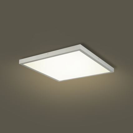 Brilagi - Dimmbare LED-Badezimmer-Deckenleuchte FRAME SMART LED/50W/230V 60x60 cm 3000-6000K IP44 Silber + Fernbedienung