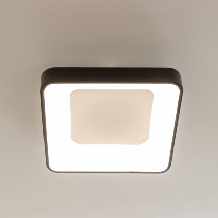 Brilagi - LED-dimmbare Deckenleuchte FALCON II LED/80W/230V 3000-6500K 40x40 cm schwarz + Fernbedienung