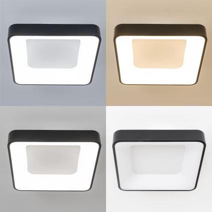 Brilagi - LED-dimmbare Deckenleuchte FALCON II LED/80W/230V 3000-6500K 40x40 cm schwarz + Fernbedienung
