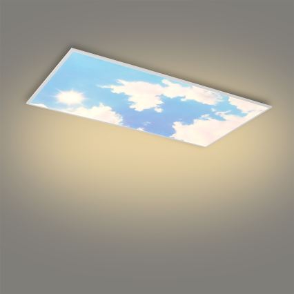 Brilagi - LED-dimmbare Deckenleuchte SLIMFRAME SKY LED/80W/230V 120x60 cm 3000-6000K silber/blau + Fernbedienung
