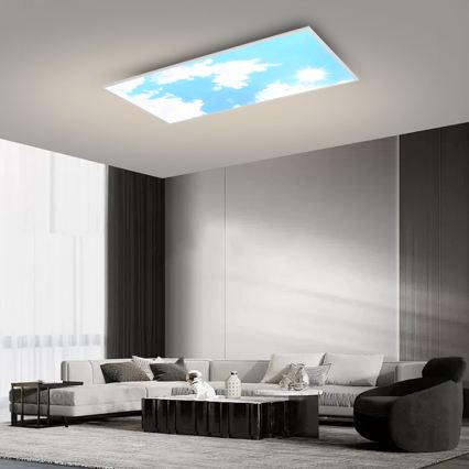 Brilagi - LED-dimmbare Deckenleuchte SLIMFRAME SKY LED/80W/230V 120x60 cm 3000-6000K silber/blau + Fernbedienung