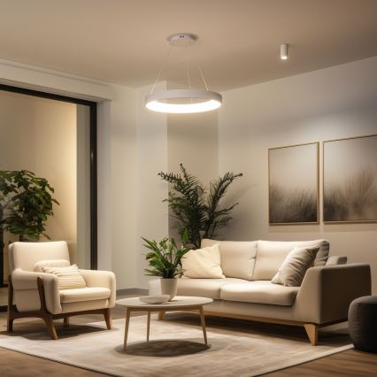 Brilagi - LED-dimmbare Pendelleuchte mit Seilaufhängung FALCON II LED/99W/230V 3000-6500K Ø 60 cm weiß + Fernbedienung