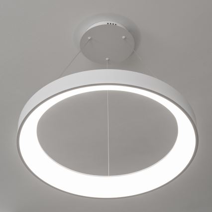 Brilagi - LED-dimmbare Pendelleuchte mit Seilaufhängung FALCON II LED/99W/230V 3000-6500K Ø 60 cm weiß + Fernbedienung