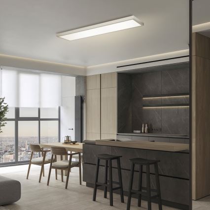 Brilagi - LED-dimmbare Badezimmer-Deckenleuchte FRAME SMART LED/50W/230V 120x30 cm 3000-6000K IP44 silber + Fernbedienung