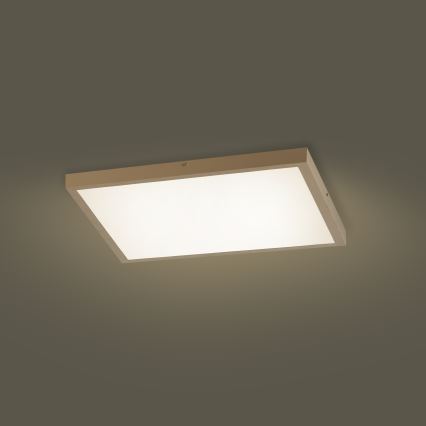 Brilagi - LED-dimmbare Badezimmer-Deckenleuchte FRAME SMART LED/50W/230V 60x60 cm 3000-6000K IP44 beige + Fernbedienung