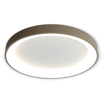 BRILAGI - LED-dimmbare Deckenleuchte FALCON II LED/108W/230V 3000-6500K Ø 80 cm weiß/beige + Fernbedienung