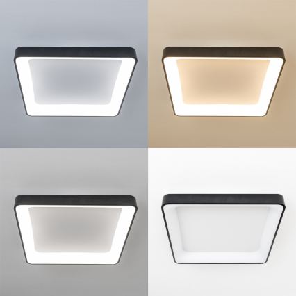 Brilagi - LED-dimmbare Deckenleuchte FALCON II LED/125W/230V 3000-6500K 60x60 cm schwarz + Fernbedienung