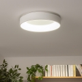Brilagi - LED-dimmbare Deckenleuchte FALCON LED/40W/230V 3000–6500K Ø 45 cm weiß + Fernbedienung