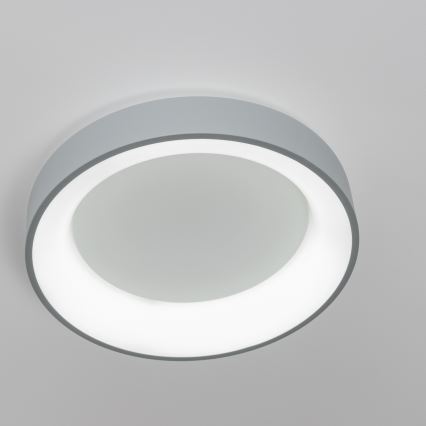 Brilagi - LED dimmbare Deckenleuchte FALCON LED/80W/230V 3000-6500K grau + Fernbedienung