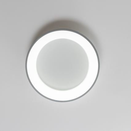 Brilagi - LED dimmbare Deckenleuchte FALCON LED/80W/230V 3000-6500K grau + Fernbedienung