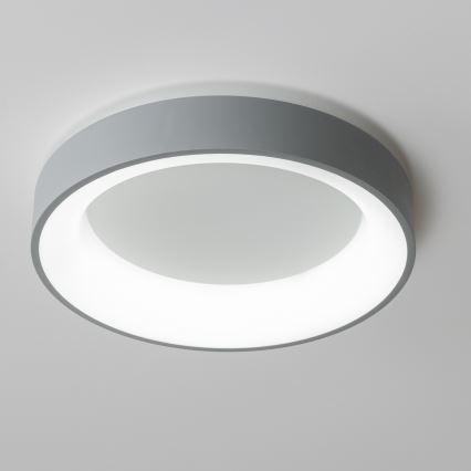 Brilagi - LED dimmbare Deckenleuchte FALCON LED/80W/230V 3000-6500K grau + Fernbedienung