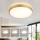 Brilagi - LED-dimmbare Deckenleuchte GLASS POOL DOUBLE LED/48W/230V 3000-6000K 40 cm goldfarben + Fernbedienung