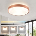 BRILAGI - LED dimmbare Deckenleuchte GLASS POOL DOUBLE LED/48W/230V Ø 40 cm kupferfarben + Fernbedienung