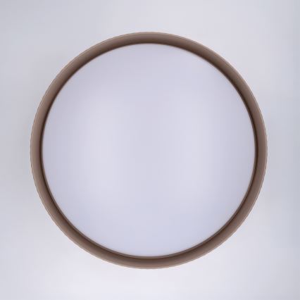 Brilagi - LED-dimmbare Deckenleuchte LUCIA LED/60 W/230 V 3000–6500 K Ø 59 cm taupe + Fernbedienung