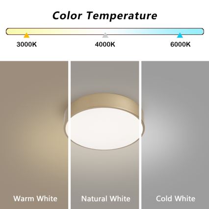 BRILAGI - Dimmbare LED-Deckenleuchte POOL LED/24W/230V 3000–6000 K Ø 20 cm goldfarben + Fernbedienung