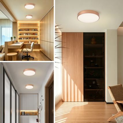 BRILAGI - Dimmbare LED-Deckenleuchte POOL LED/48W/230V 3000–6000K ø 40 cm Bronze + Fernbedienung