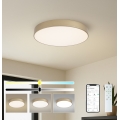 BRILAGI - LED-dimmbare Deckenleuchte POOL SMART LED/60 W/230 V 3000–6000 K Ø 50 cm Wi-Fi Tuya gold + Fernbedienung