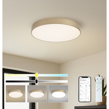 BRILAGI - LED-dimmbare Deckenleuchte POOL SMART LED/60 W/230 V 3000–6000 K Ø 50 cm Wi-Fi Tuya gold + Fernbedienung
