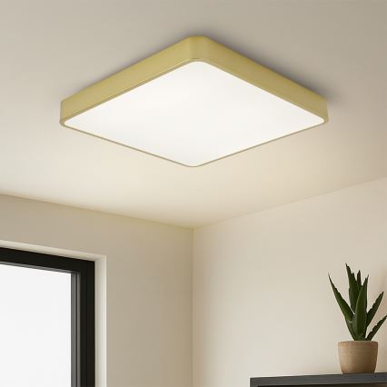 BRILAGI - Dimmbare LED-Deckenleuchte POOL SQUARE LED/48W/230V 3000-6000K 50x50 cm goldfarben + Fernbedienung