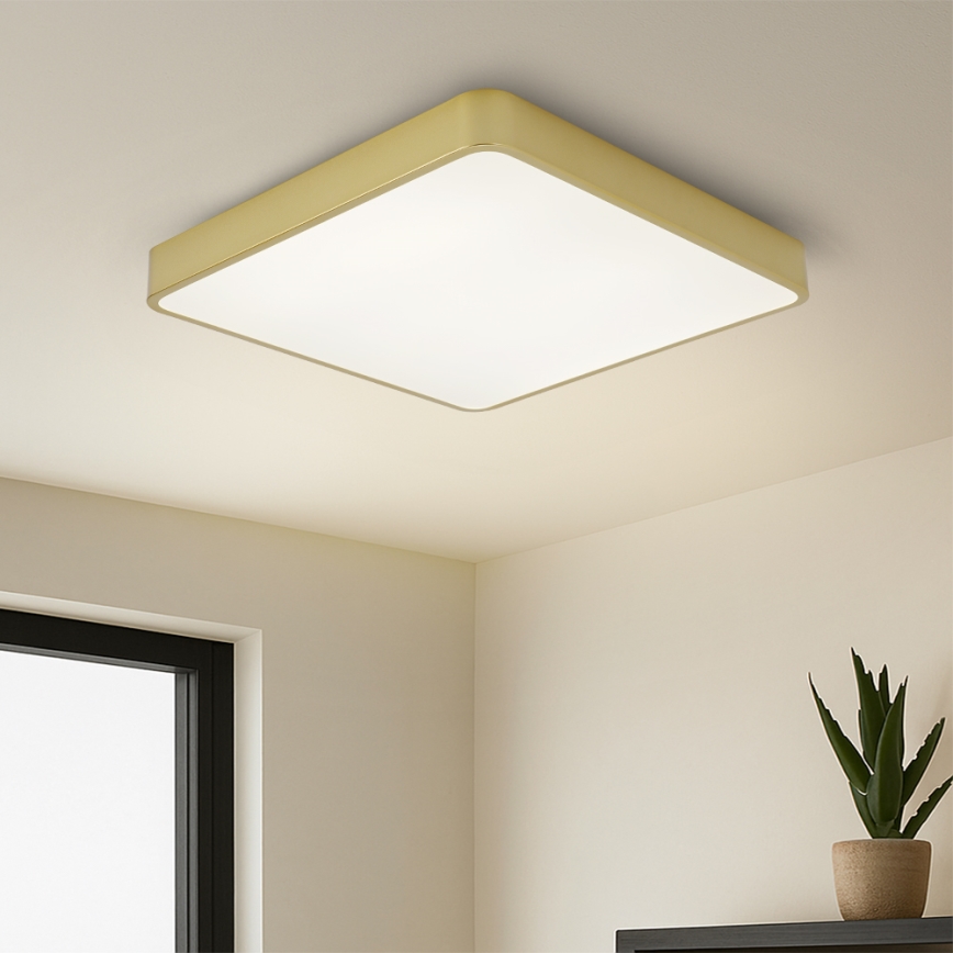 BRILAGI - Dimmbare LED-Deckenleuchte POOL SQUARE LED/48W/230V 3000-6000K 50x50 cm goldfarben + Fernbedienung