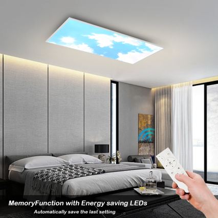 Brilagi - dimmbare LED-Deckenleuchte SLIMFRAME SKY LED/80W/230V 120x60 cm 3000-6000K silber/blau + Fernbedienung