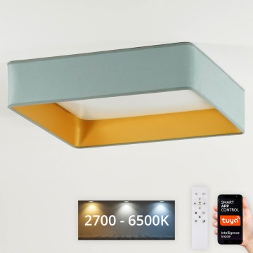 Brilagi - LED-dimmbare Deckenleuchte VELVET SQUARE SMART LED/36W/230V 60x60 cm 2700-6500K Wi-Fi Tuya + Fernbedienung mintgrün