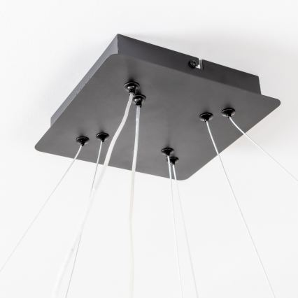 Brilagi - LED-dimmbare Hängeleuchte mit Seilaufhängung FALCON SLIM LED/78W/230V 3000-6500K 50x50 cm schwarz + Fernbedienung