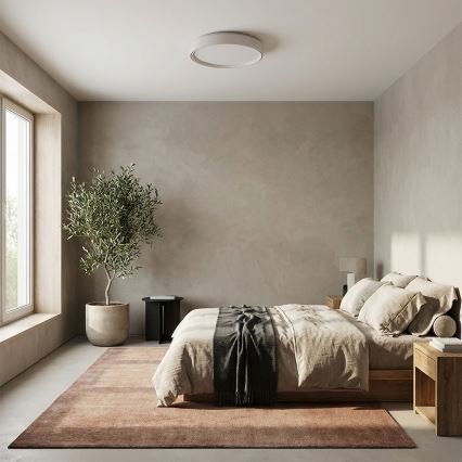 Brilagi - Dimmbare LED-Deckenleuchte NANCI LED/60W/230V 3000-6500K Ø 49 cm weiß + Fernbedienung