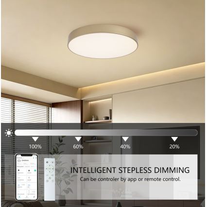 BRILAGI - LED-dimmbare Deckenleuchte POOL SMART LED/60 W/230 V 3000–6000 K Ø 50 cm Wi-Fi Tuya gold + Fernbedienung