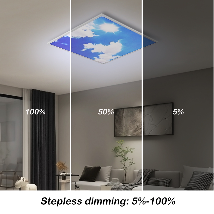 Brilagi - LED-dimmbare Deckenleuchte SLIMFRAME SKY LED/58W/230V 60x60 cm 3000-6000K silber/blau + Fernbedienung
