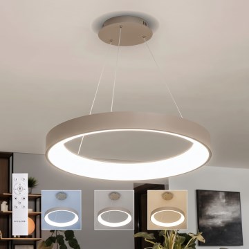 BRILAGI - LED-dimmbare Pendelleuchte an Kabel FALCON II LED/99W/230V 3000-6500K Ø 60 cm beige + mit Fernbedienung