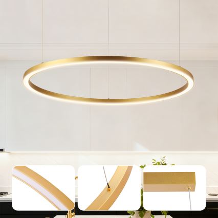 Brilagi - LED-dimmbare Pendelleuchte an Seil PORTOFINO LED/60W/230V 3000-6000K Durchmesser 80 cm goldfarben + Fernbedienung