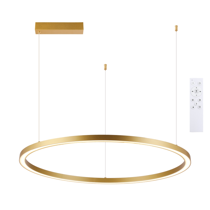Brilagi - LED-dimmbare Pendelleuchte an Seil PORTOFINO LED/60W/230V 3000-6000K Durchmesser 80 cm goldfarben + Fernbedienung