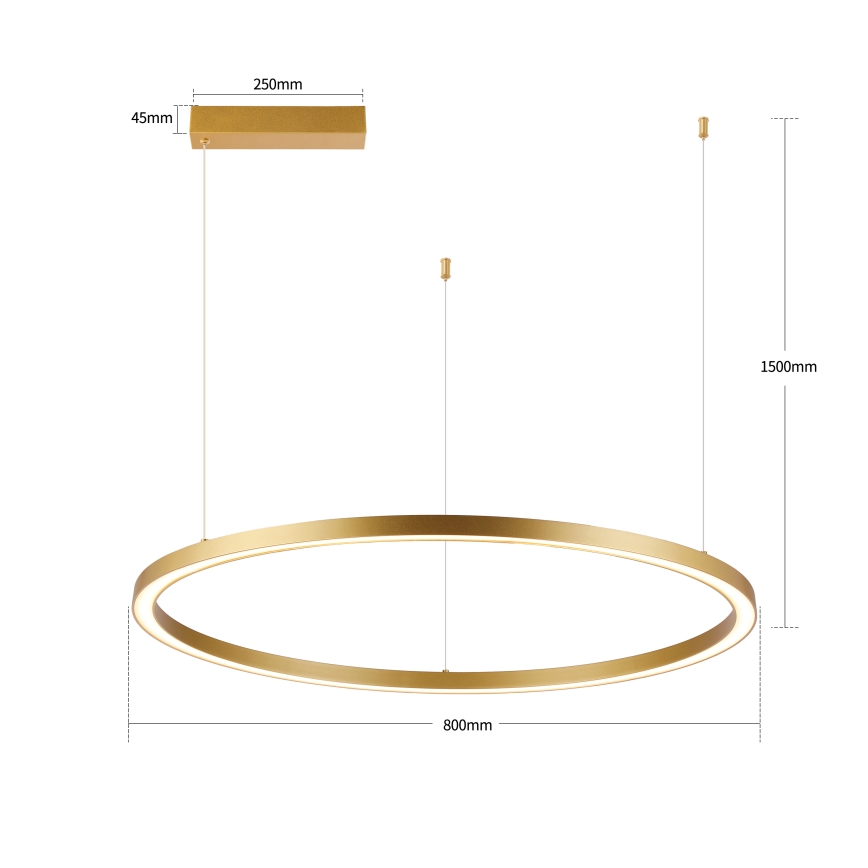 Brilagi - LED-dimmbare Pendelleuchte an Seil PORTOFINO LED/60W/230V 3000-6000K Durchmesser 80 cm goldfarben + Fernbedienung
