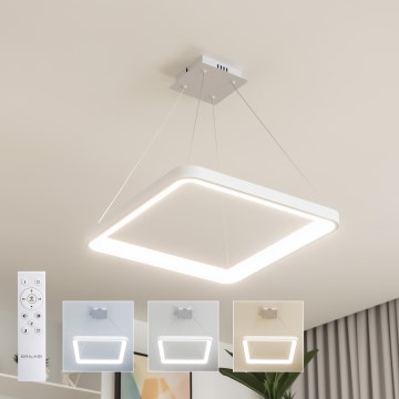 Brilagi - LED-dimmbare Pendelleuchte an Stahlseil FALCON SLIM LED/50W/230V 3000-6500K 50x50 cm weiß + Fernbedienung
