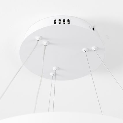 Brilagi - LED-dimmbare Pendelleuchte an Stahlseil FALCON SLIM LED/68W/230V 3000-6500K Ø 50 cm weiß + Fernbedienung