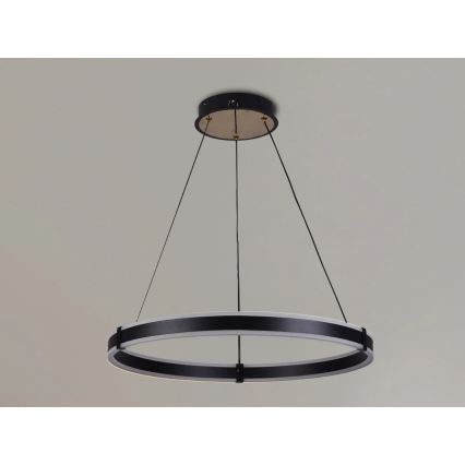 Brilagi - LED-dimmbare Pendelleuchte an Kabel CIRCLE LED/85W/230V 3000-6500K Ø 60 cm schwarz/gold + Fernbedienung