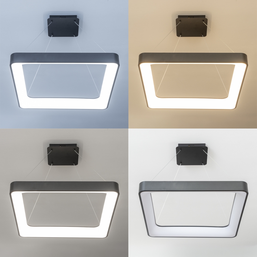 Brilagi - LED dimmbare Pendelleuchte mit Seilaufhängung FALCON II LED/125W/230V 3000-6500K 60x60 cm schwarz + Fernbedienung