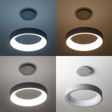 Brilagi - Dimmbare LED-Hängeleuchte FALCON an Kabel LED/80W/230V 3000-6500K Ø 60 cm grau + Fernbedienung