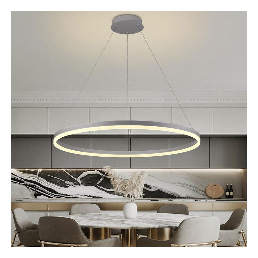 Brilagi - dimmbare LED-Seilpendelleuchte CIRCLE LED/55W/230V 3000–6500K Ø 80 cm silber + Fernbedienung