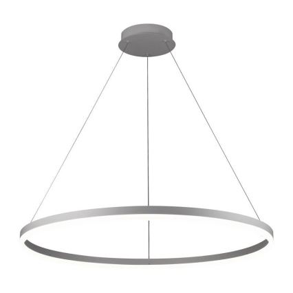 Brilagi - dimmbare LED-Seilpendelleuchte CIRCLE LED/55W/230V 3000–6500K Ø 80 cm silber + Fernbedienung