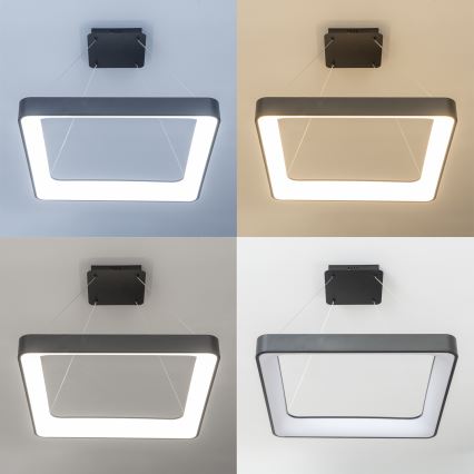 Brilagi - Dimmbare LED-Pendelleuchte an Stahlseil FALCON II LED/125W/230V 3000-6500K 60x60 cm schwarz + Fernbedienung