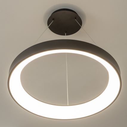 BRILAGI - LED-dimmbare Pendelleuchte FALCON II LED/99W/230V 3000–6500K Ø 60 cm schwarz + Fernbedienung