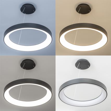 BRILAGI - LED-dimmbare Pendelleuchte FALCON II LED/99W/230V 3000–6500K Ø 60 cm schwarz + Fernbedienung