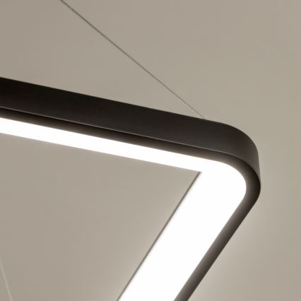 Brilagi - LED-dimmbare Pendelleuchte mit Stahlseilaufhängung FALCON SLIM LED/50W/230V 3000-6500K 50x50 cm schwarz + Fernbedienung