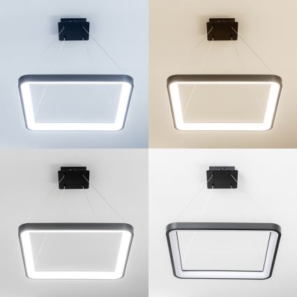 Brilagi - LED-dimmbare Pendelleuchte mit Stahlseilaufhängung FALCON SLIM LED/50W/230V 3000-6500K 50x50 cm schwarz + Fernbedienung