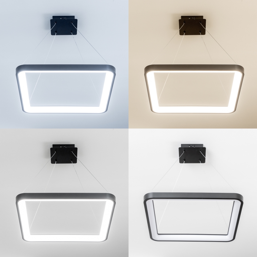 Brilagi - LED-dimmbare Pendelleuchte mit Stahlseilaufhängung FALCON SLIM LED/50W/230V 3000-6500K 50x50 cm schwarz + Fernbedienung