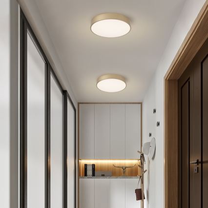BRILAGI - Dimmbare LED-Deckenleuchte POOL SMART LED/48W/230V 3000–6000K Ø 40 cm Wi-Fi Tuya + Fernbedienung